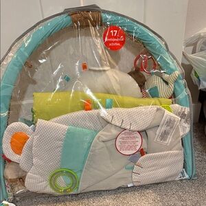 Skip Hop Multi-Color Baby Activity Gym